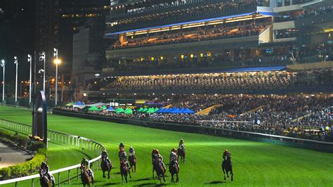 happy valley odds